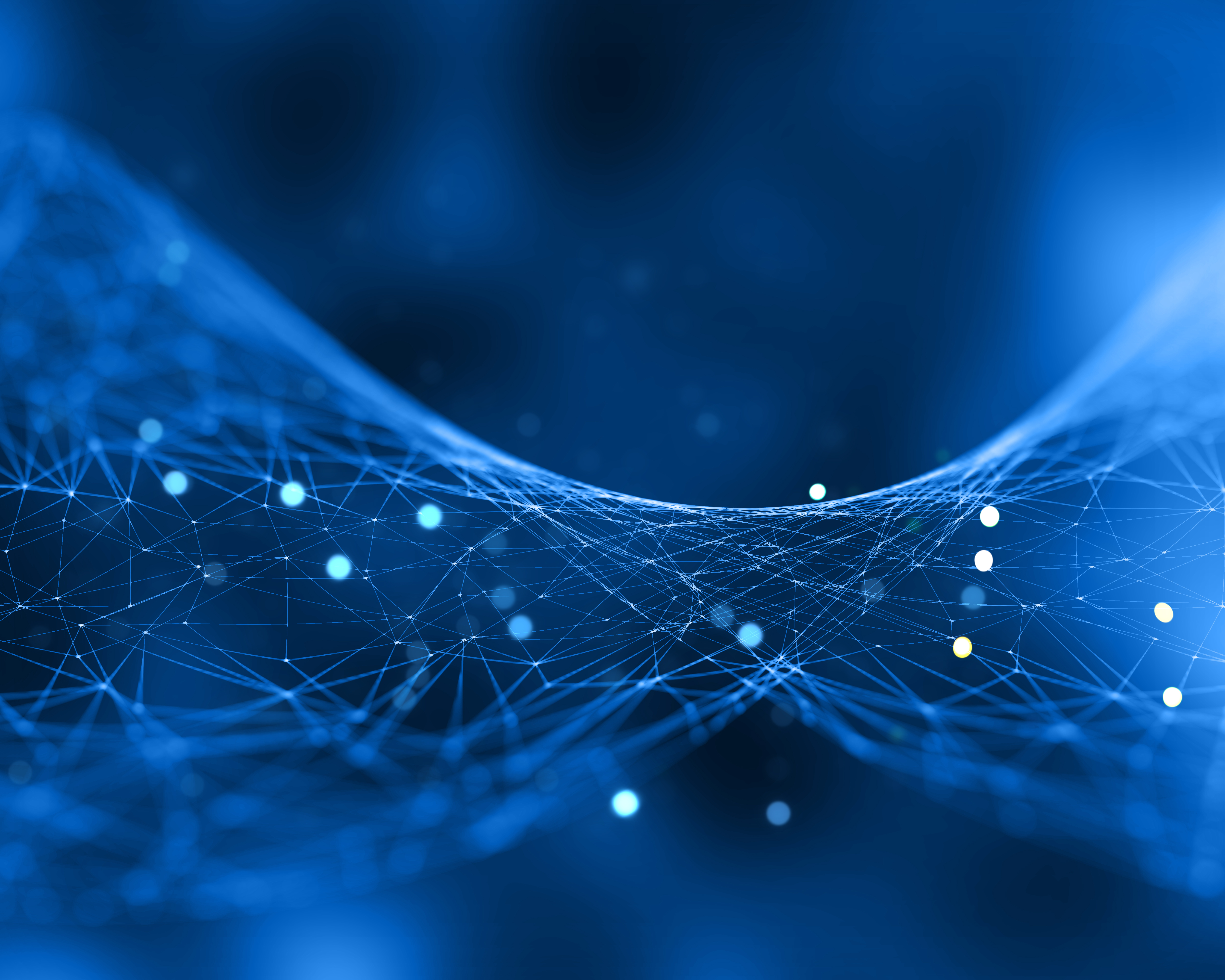 Technology Leadership